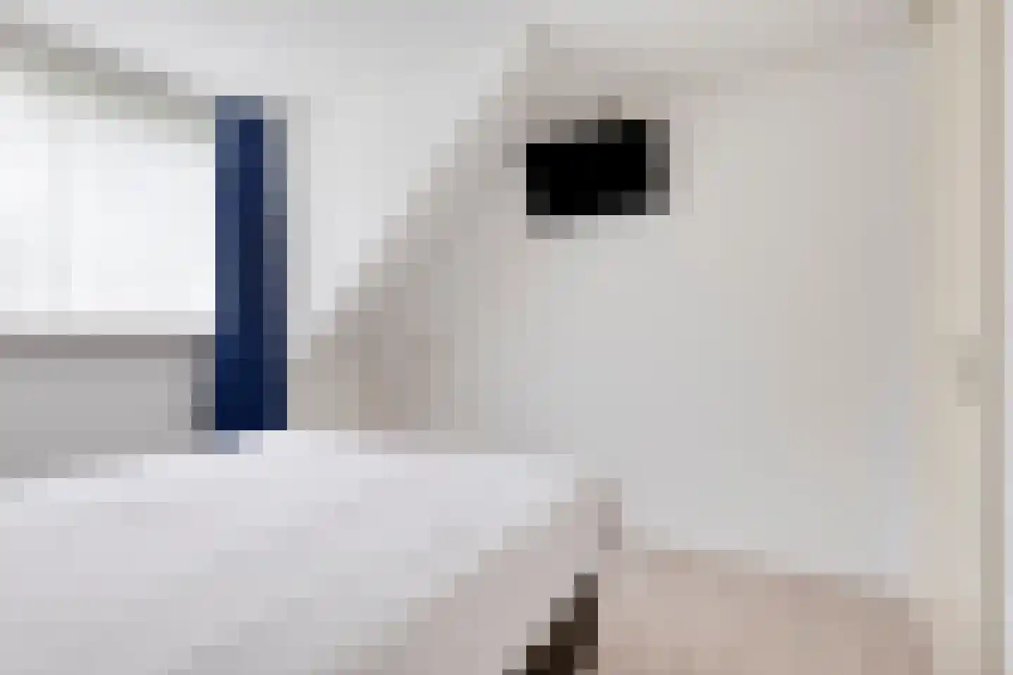 Lindenpad 13 Deest thumbnail 29