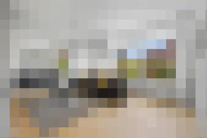 Lindenplantsoen 46 Bosschenhoofd thumbnail 11