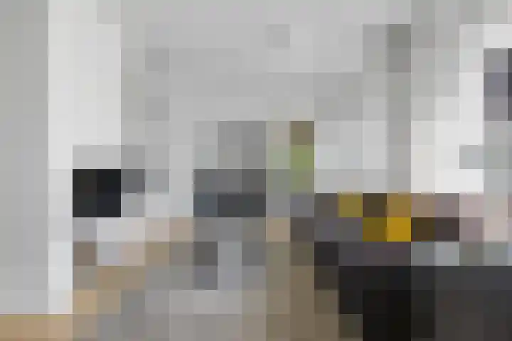 Lindenplantsoen 46 Bosschenhoofd thumbnail 12
