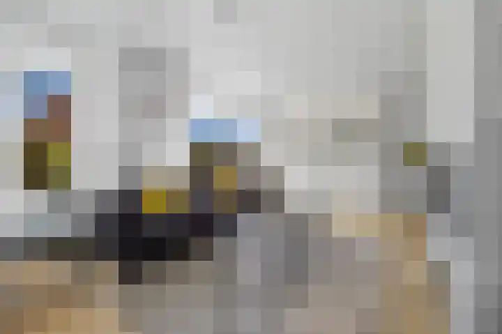 Lindenplantsoen 46 Bosschenhoofd thumbnail 13