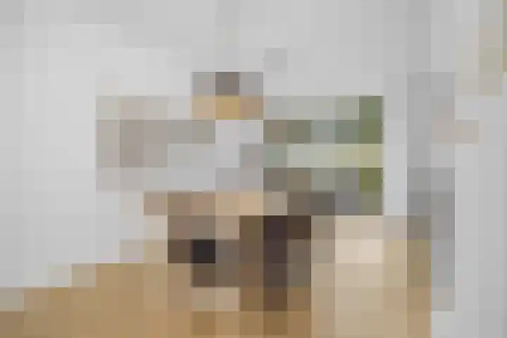 Lindenplantsoen 46 Bosschenhoofd thumbnail 15