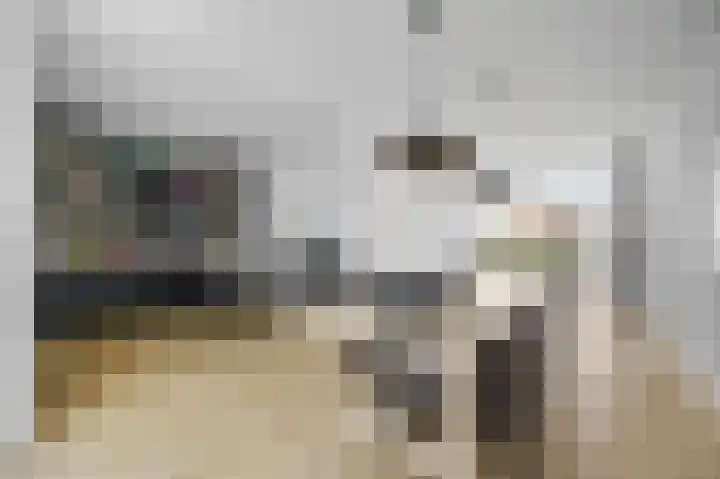 Lindenplantsoen 46 Bosschenhoofd thumbnail 16
