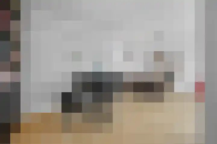 Lindenplantsoen 46 Bosschenhoofd thumbnail 17