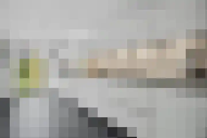 Lindenplantsoen 46 Bosschenhoofd thumbnail 21