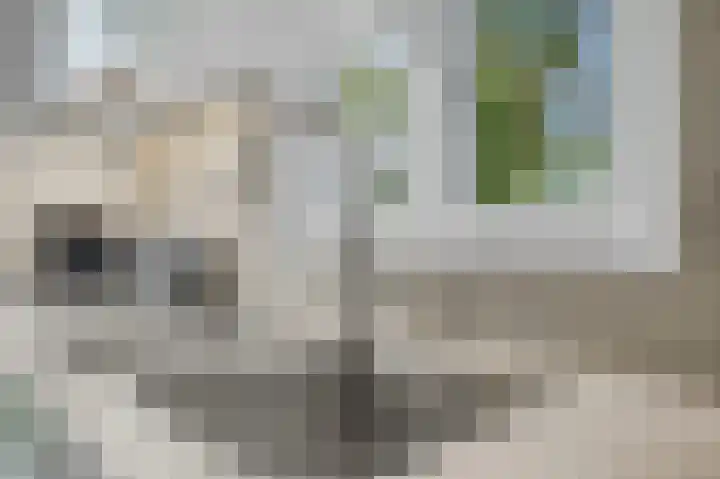 Lindenplantsoen 46 Bosschenhoofd thumbnail 22