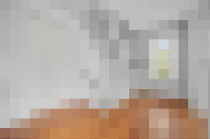 Lindenplantsoen 46 Bosschenhoofd thumbnail 25