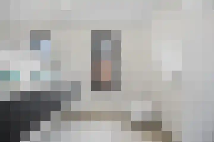 Lindenplantsoen 46 Bosschenhoofd thumbnail 32