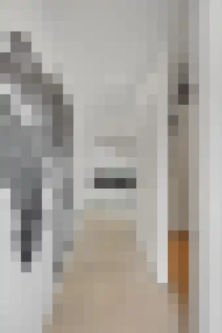 Lindenplantsoen 46 Bosschenhoofd thumbnail 36
