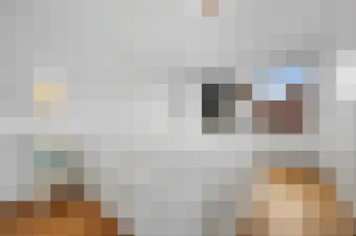 Lindenplantsoen 46 Bosschenhoofd thumbnail 38