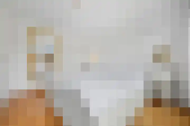 Lindenplantsoen 46 Bosschenhoofd thumbnail 39