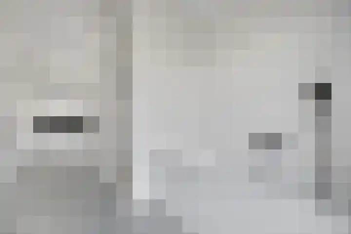Lindenplantsoen 46 Bosschenhoofd thumbnail 4