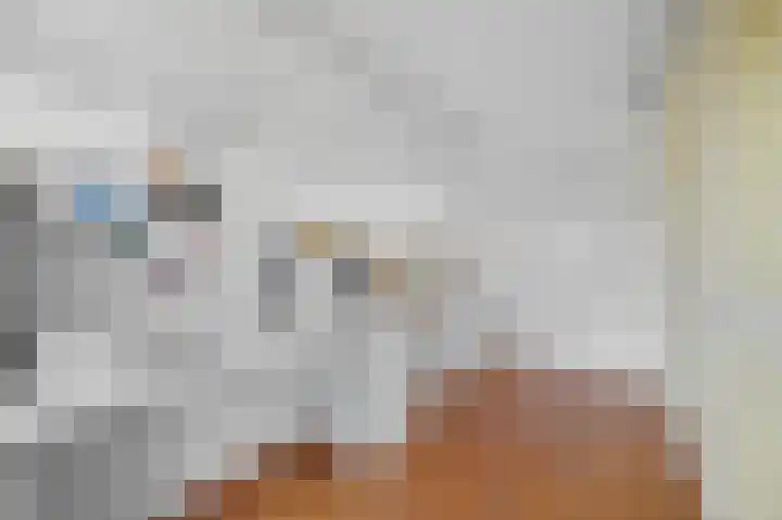Lindenplantsoen 46 Bosschenhoofd thumbnail 41