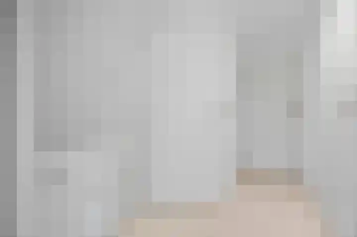Lindenplantsoen 46 Bosschenhoofd thumbnail 43