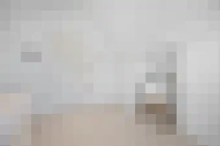 Lindenplantsoen 46 Bosschenhoofd thumbnail 45