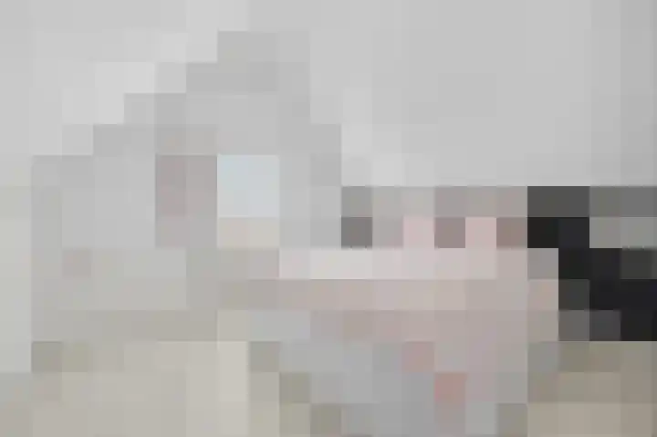 Lindenplantsoen 46 Bosschenhoofd thumbnail 48