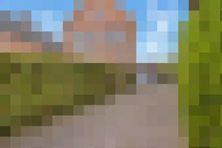 Lindenplantsoen 46 Bosschenhoofd thumbnail 5