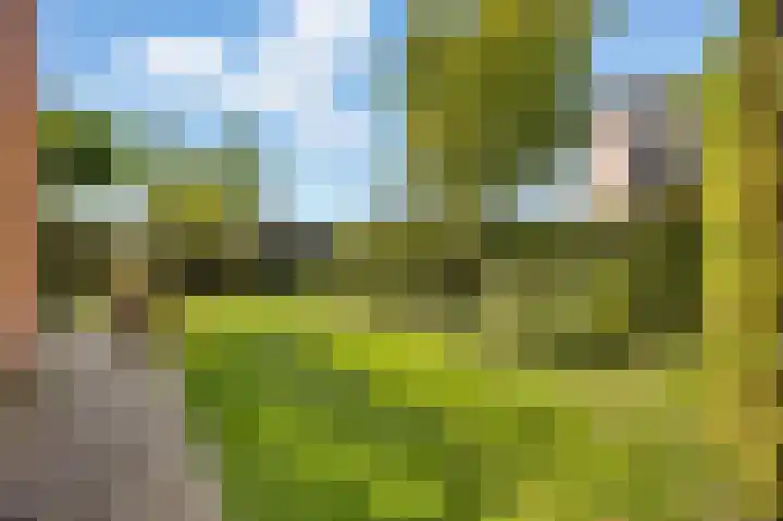 Lindenplantsoen 46 Bosschenhoofd thumbnail 51