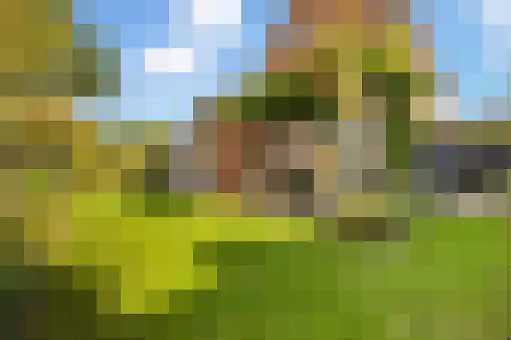 Lindenplantsoen 46 Bosschenhoofd thumbnail 52
