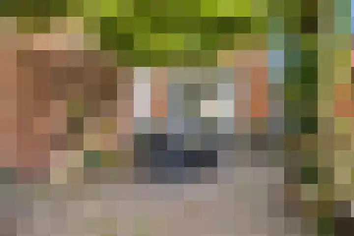 Lindenplantsoen 46 Bosschenhoofd thumbnail 54