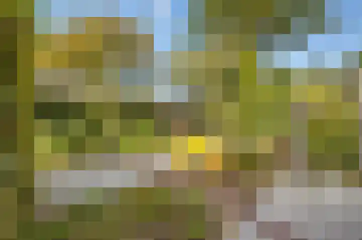Lindenplantsoen 46 Bosschenhoofd thumbnail 55