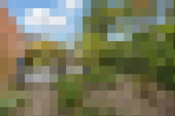 Lindenplantsoen 46 Bosschenhoofd thumbnail 56