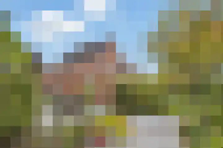 Lindenplantsoen 46 Bosschenhoofd thumbnail 57