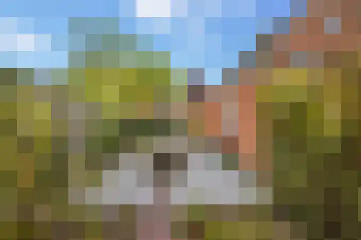 Lindenplantsoen 46 Bosschenhoofd thumbnail 58