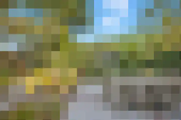 Lindenplantsoen 46 Bosschenhoofd thumbnail 59
