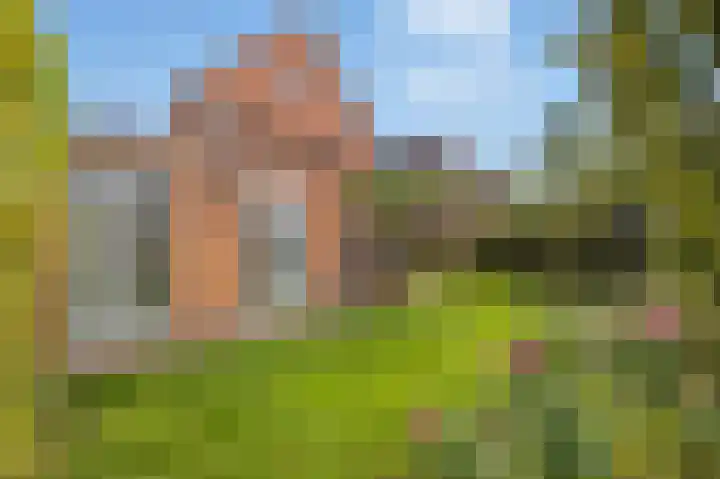 Lindenplantsoen 46 Bosschenhoofd thumbnail 60