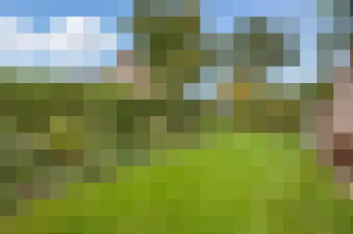 Lindenplantsoen 46 Bosschenhoofd thumbnail 62