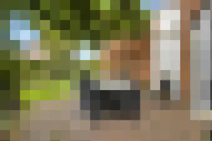 Lindenplantsoen 46 Bosschenhoofd thumbnail 63