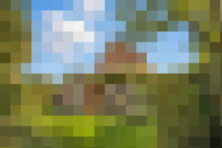 Lindenplantsoen 46 Bosschenhoofd thumbnail 64