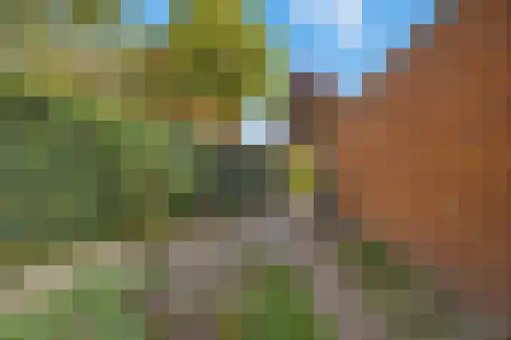 Lindenplantsoen 46 Bosschenhoofd thumbnail 65