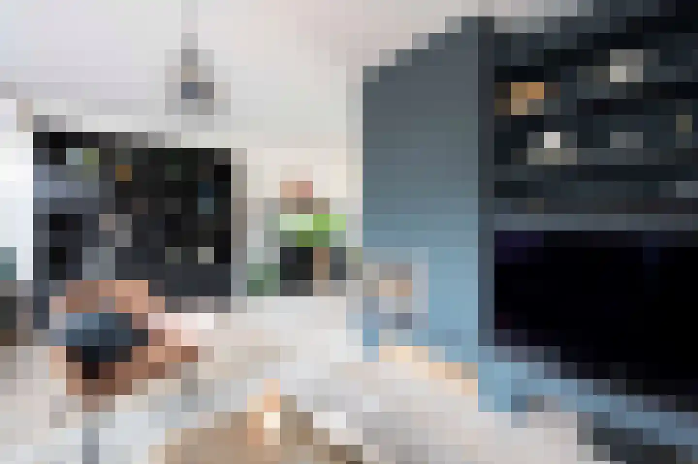 Lindenplantsoen 50 Bosschenhoofd thumbnail 10