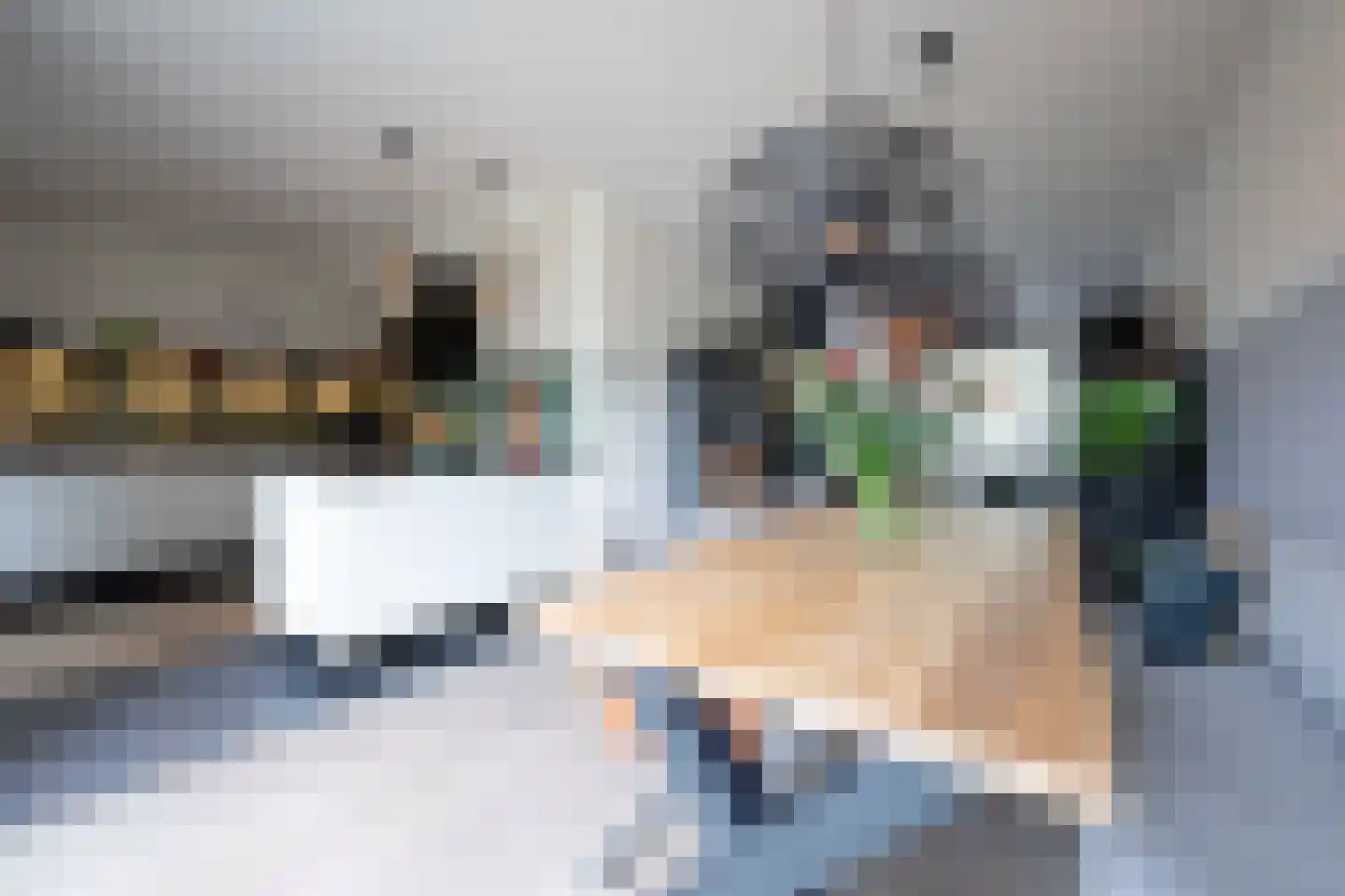 Lindenplantsoen 50 Bosschenhoofd thumbnail 13