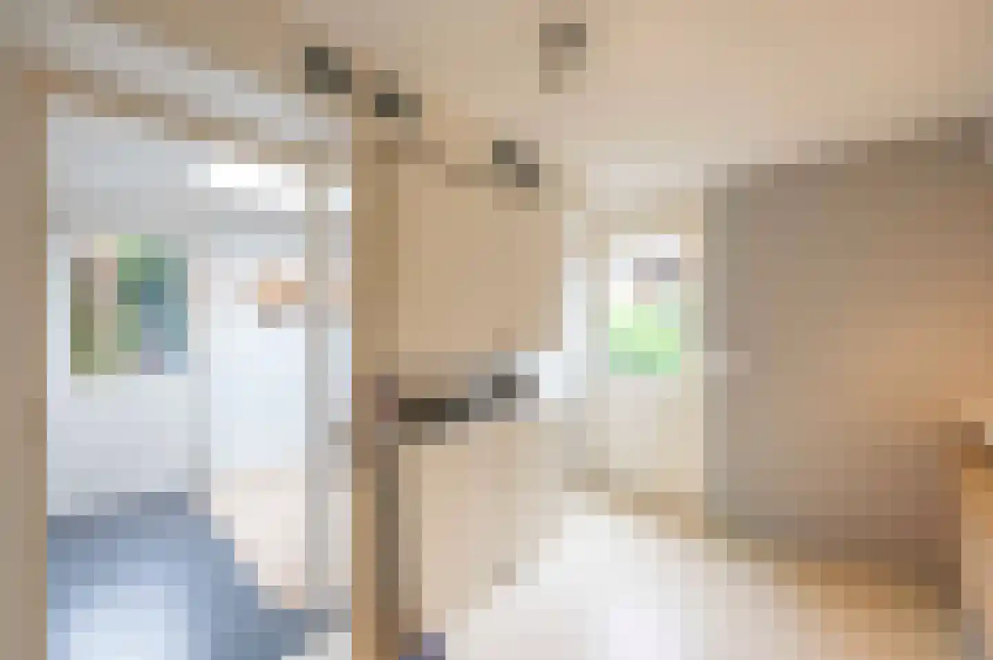 Lindenplantsoen 50 Bosschenhoofd thumbnail 20