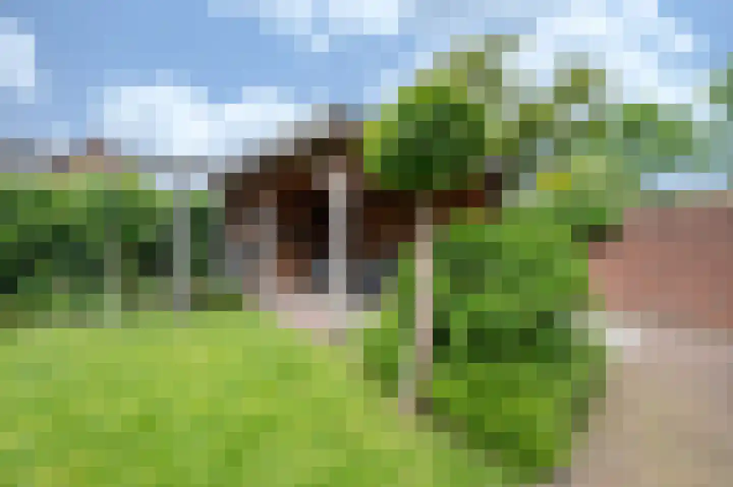 Lindenplantsoen 50 Bosschenhoofd thumbnail 25