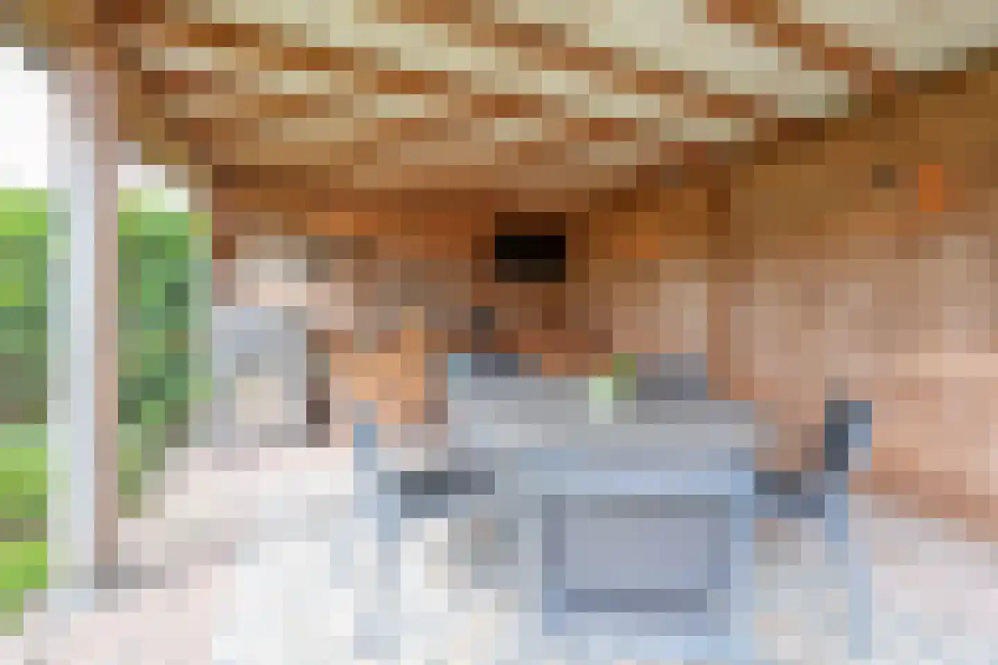 Lindenplantsoen 50 Bosschenhoofd thumbnail 26