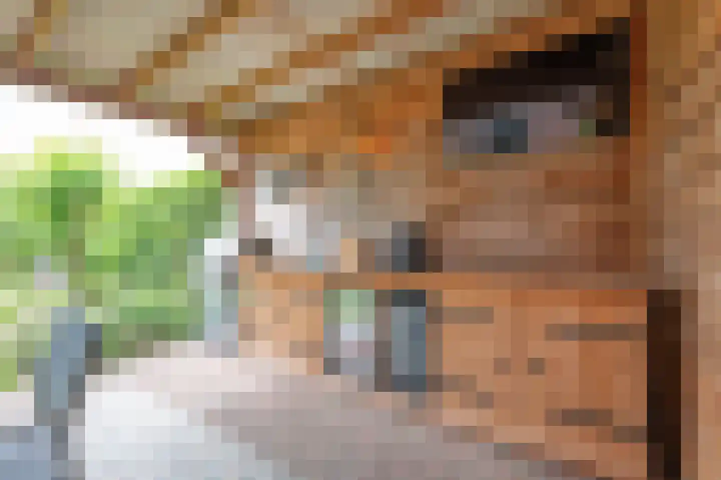 Lindenplantsoen 50 Bosschenhoofd thumbnail 27