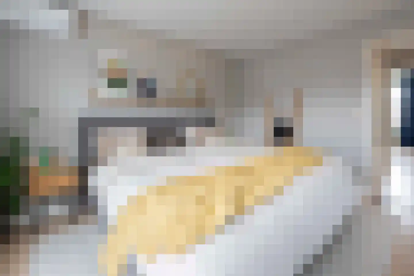 Lindenplantsoen 50 Bosschenhoofd thumbnail 32