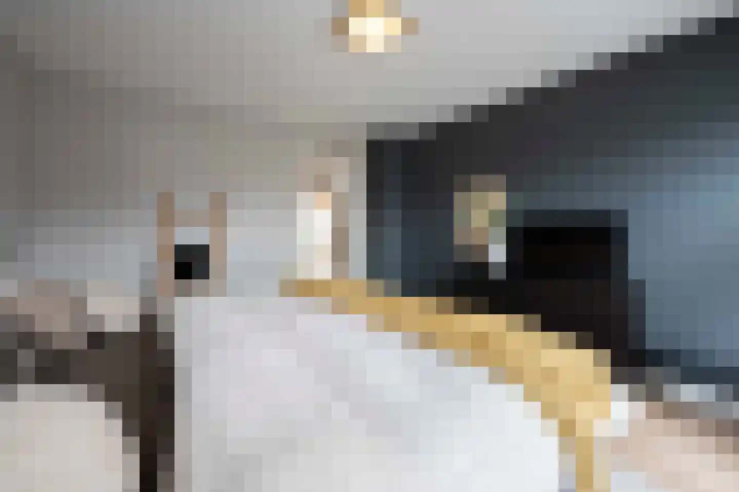 Lindenplantsoen 50 Bosschenhoofd thumbnail 33