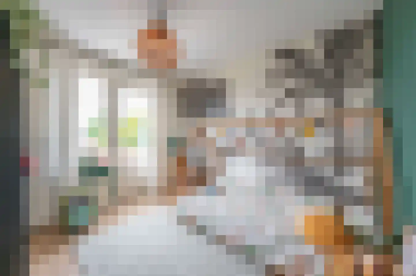 Lindenplantsoen 50 Bosschenhoofd thumbnail 38