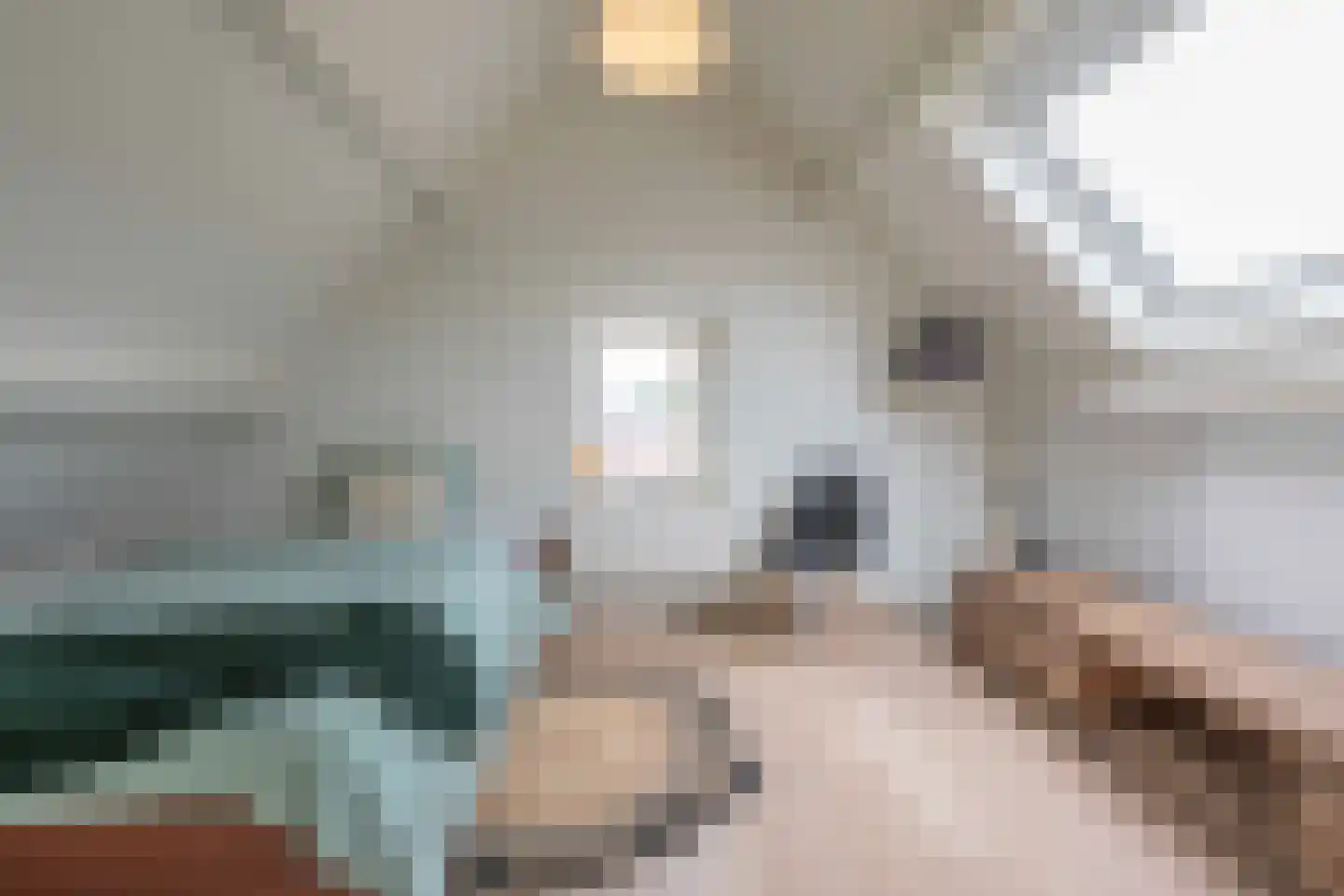 Lindenplantsoen 50 Bosschenhoofd thumbnail 48