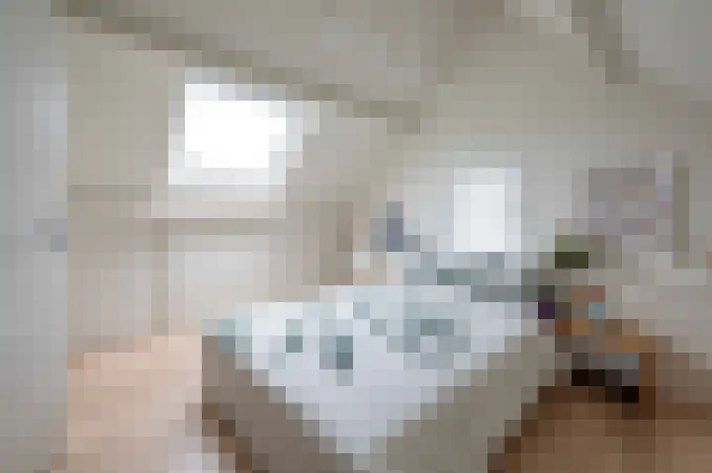 Lindenplantsoen 50 Bosschenhoofd thumbnail 52