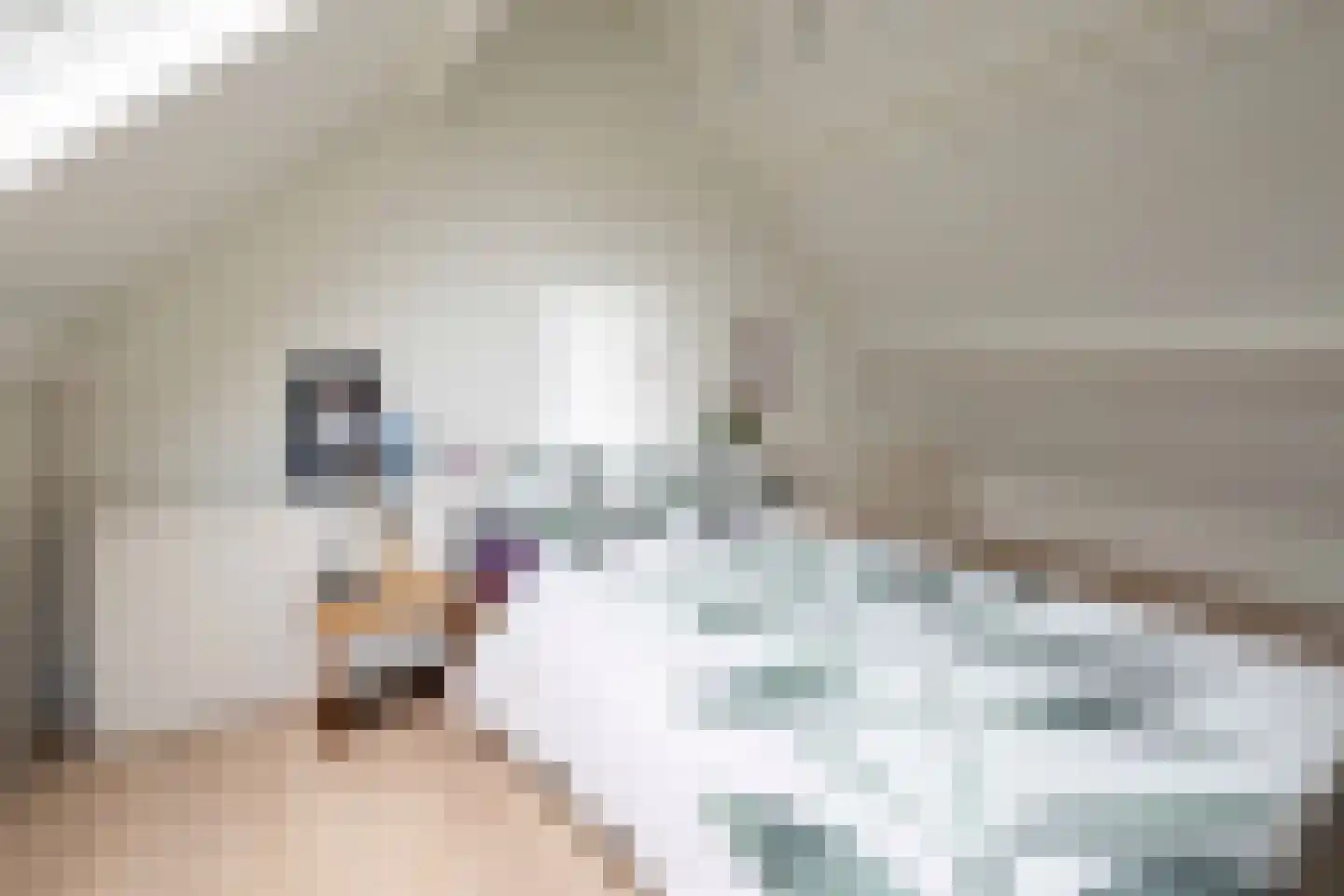 Lindenplantsoen 50 Bosschenhoofd thumbnail 53