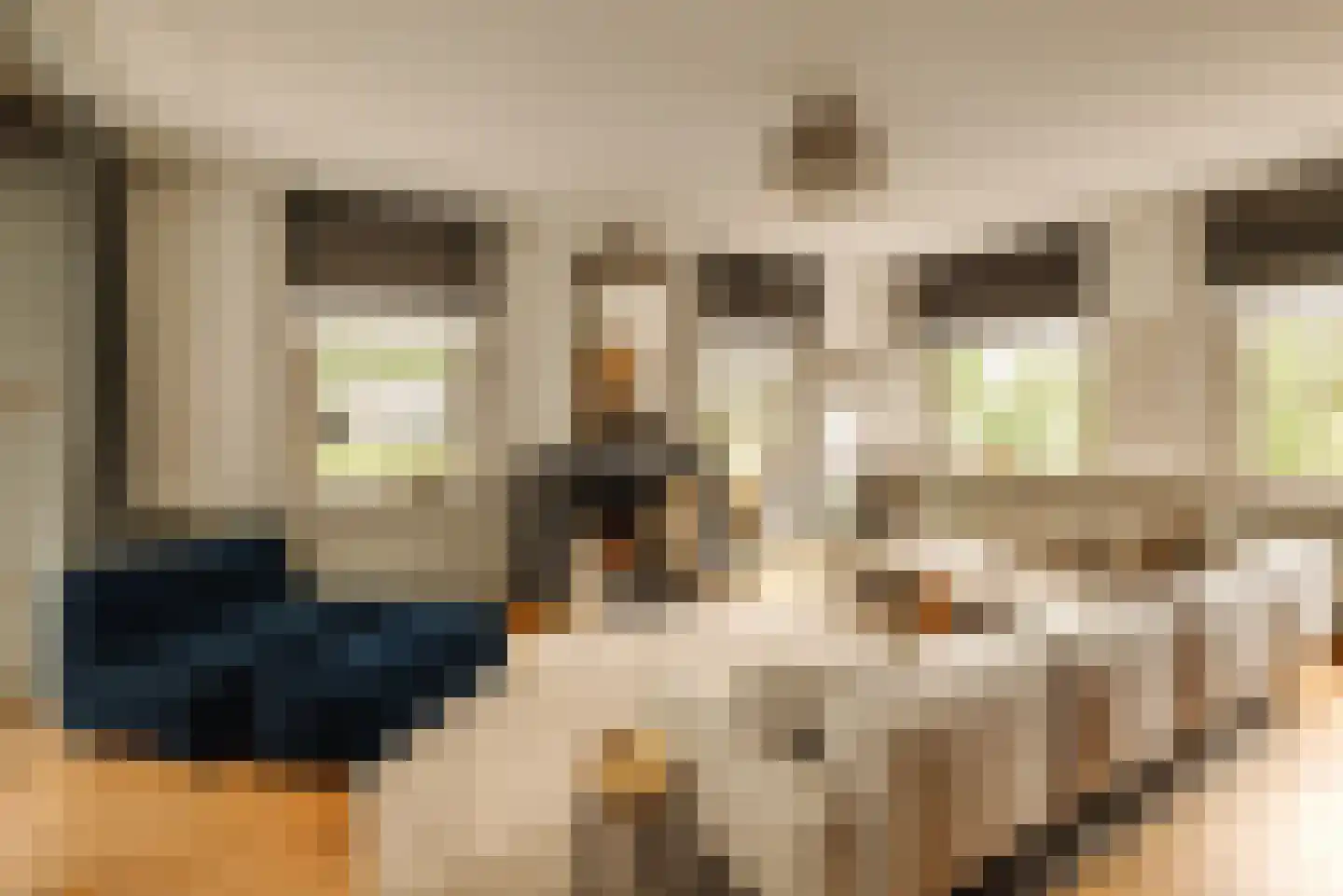 Lindenplein 1 Noordwijk thumbnail 11