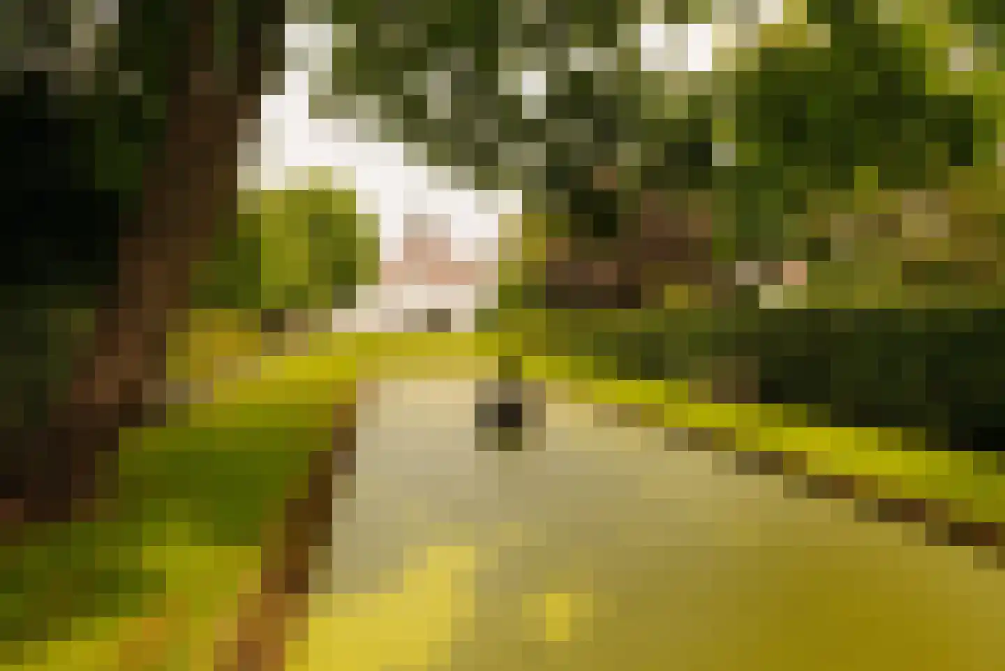 Lindenplein 1 Noordwijk thumbnail 18