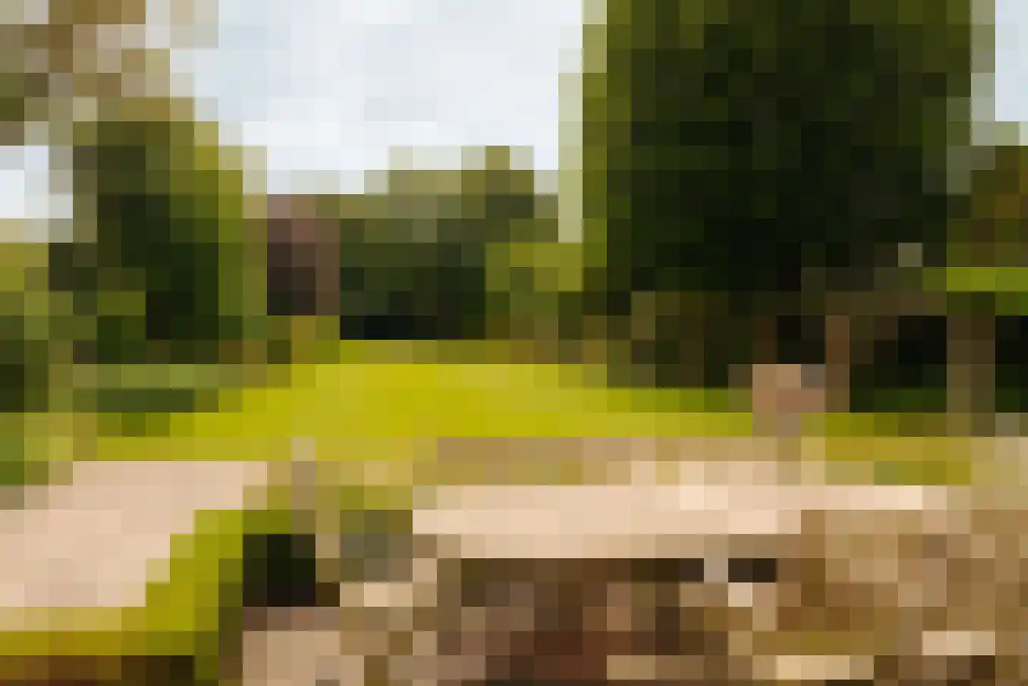 Lindenplein 1 Noordwijk thumbnail 20