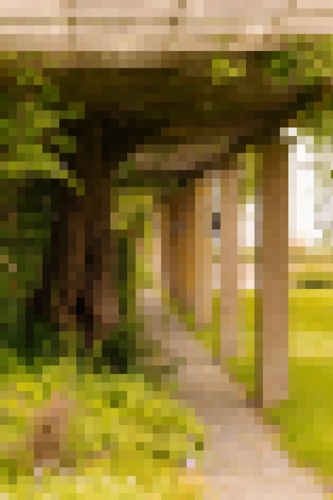 Lindenplein 1 Noordwijk thumbnail 22