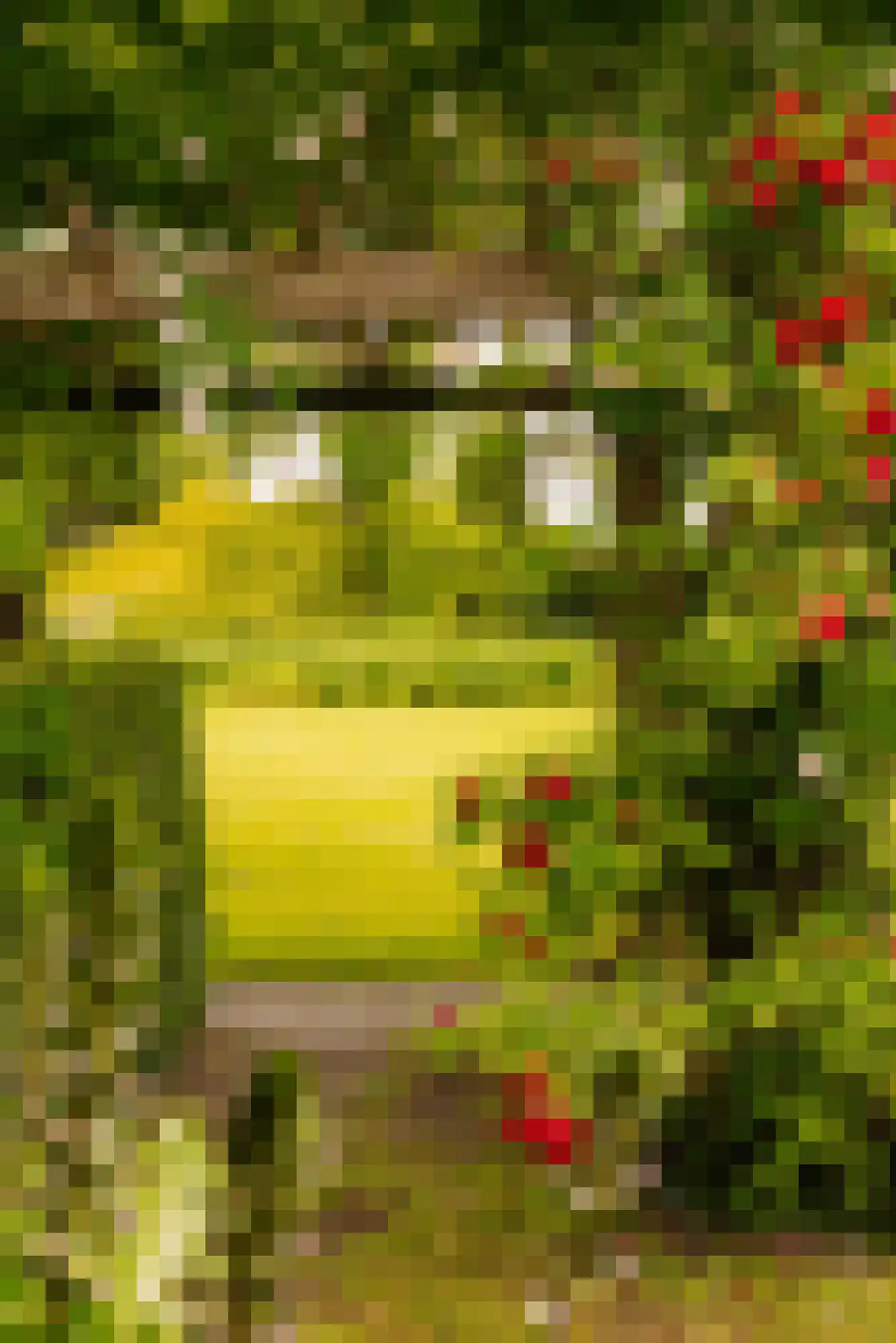 Lindenplein 1 Noordwijk thumbnail 23